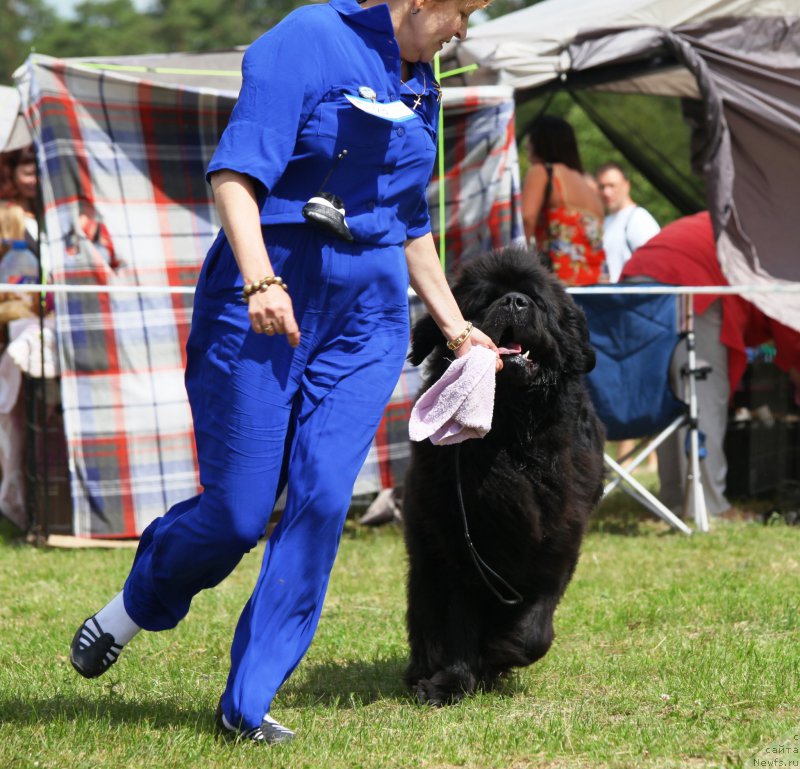 Фотография № 158070