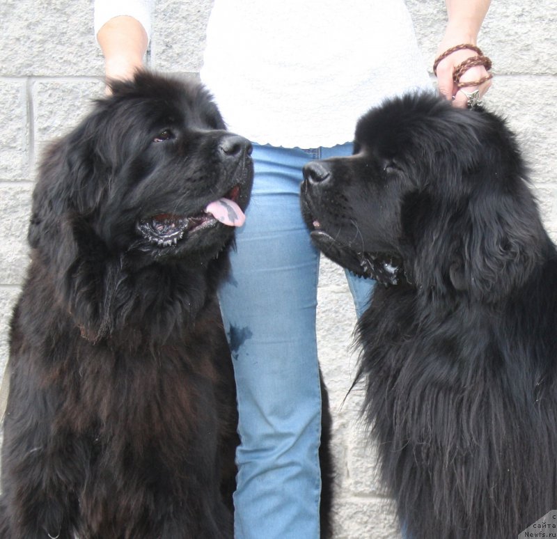 Фотография № 158083