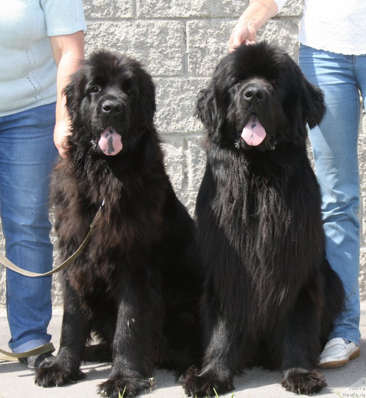 Фотография № 158084