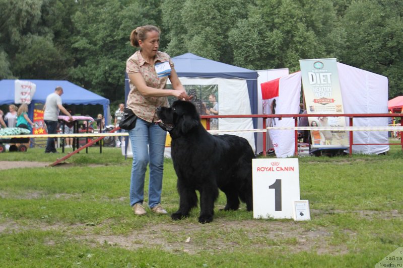 Фотография № 158087