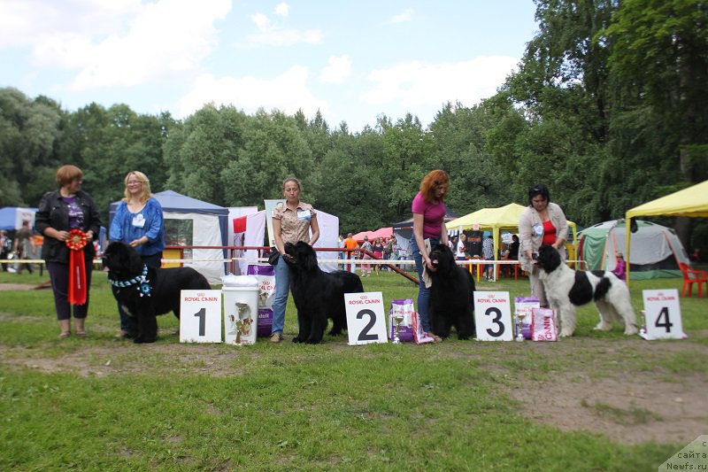 Фотография № 158088