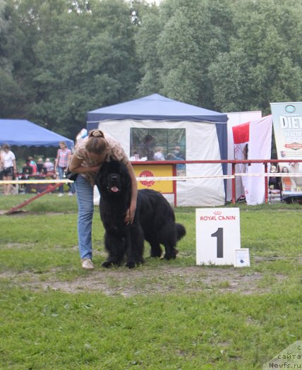 Фотография № 158089