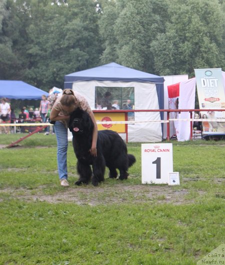 Фотография № 158090