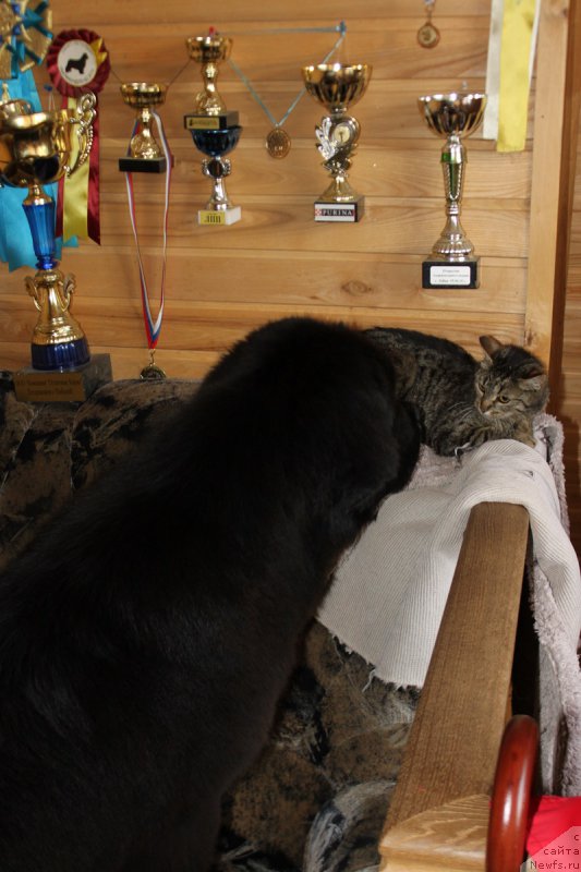 Фотография № 158103