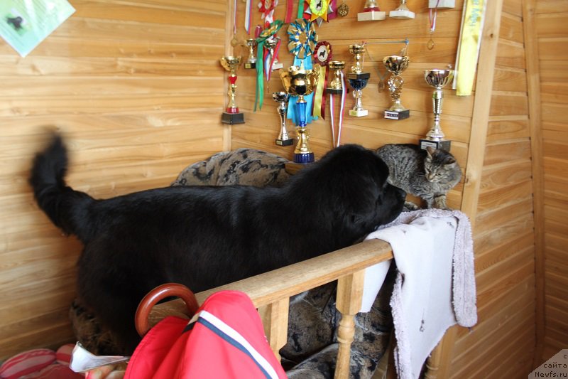 Фотография № 158104