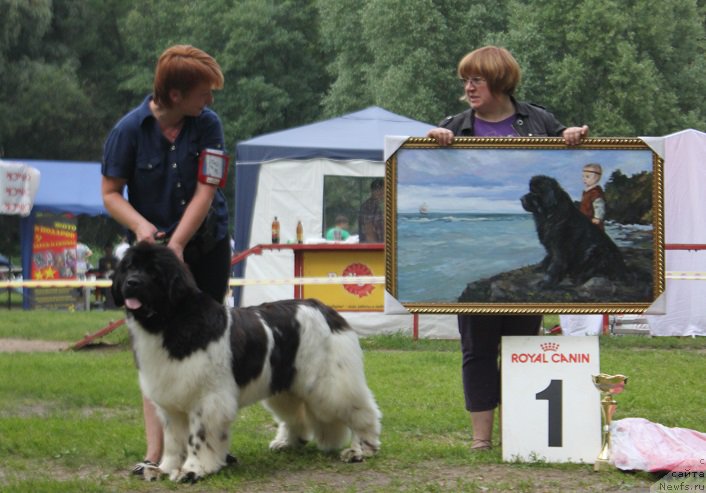 Фотография № 158111