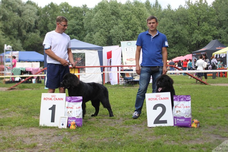 Фотография № 158128