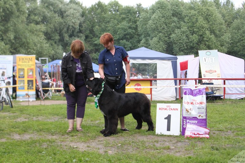 Фотография № 158129