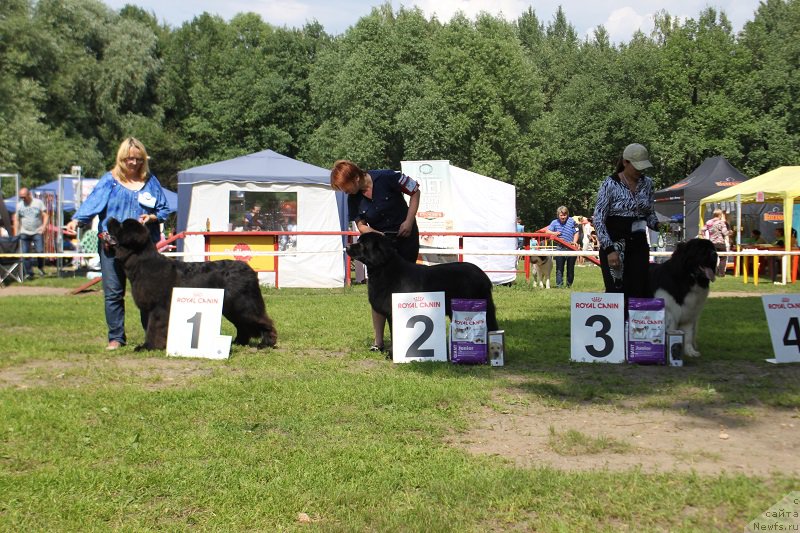 Фотография № 158130