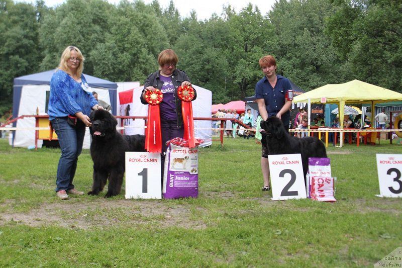 Фотография № 158132