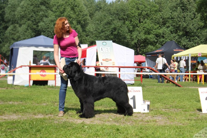 Фотография № 158133