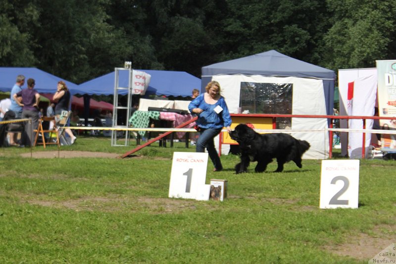 Фотография № 158135