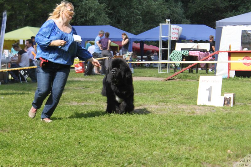 Фотография № 158136