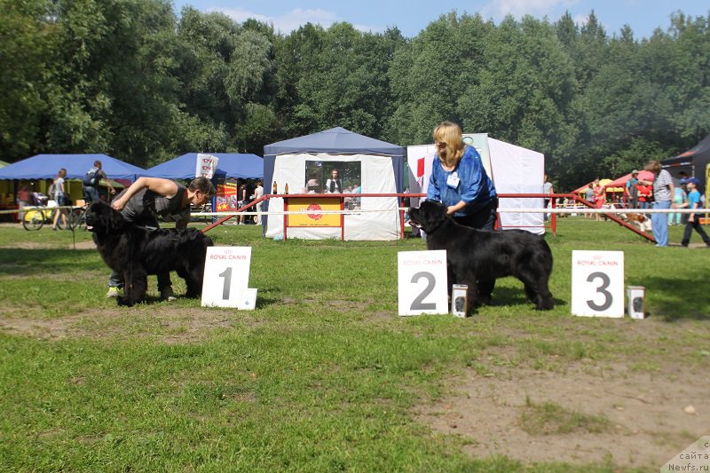 Фотография № 158137