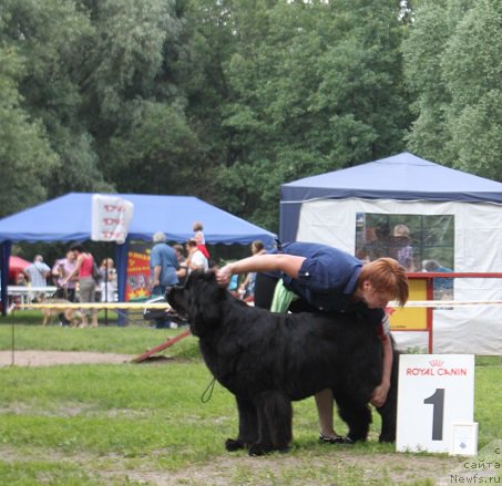 Фотография № 158140