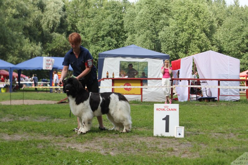 Фотография № 158142