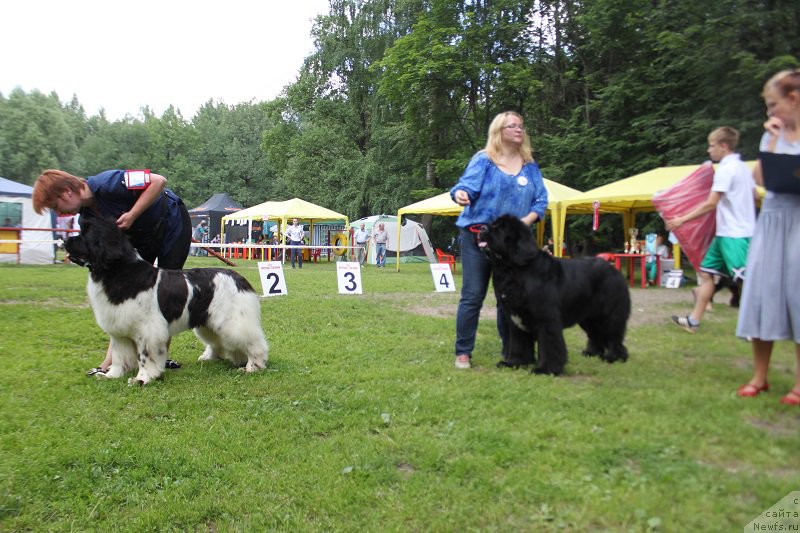 Фотография № 158144