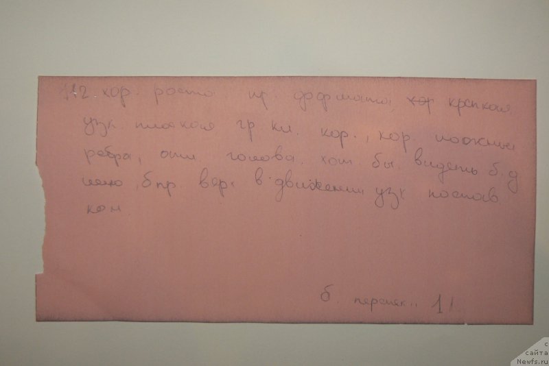 Фото: Михаил Пуцилло