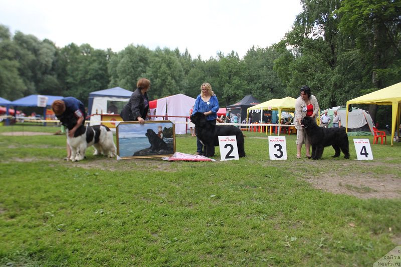 Фотография № 158147