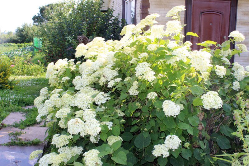 Фотография № 158174