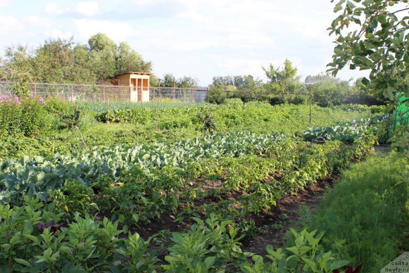 Фотография № 158184