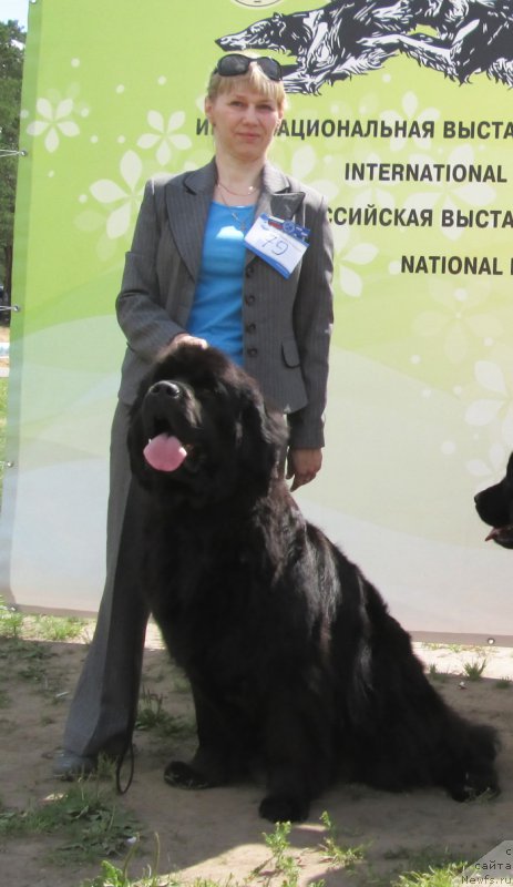 Фотография № 158186