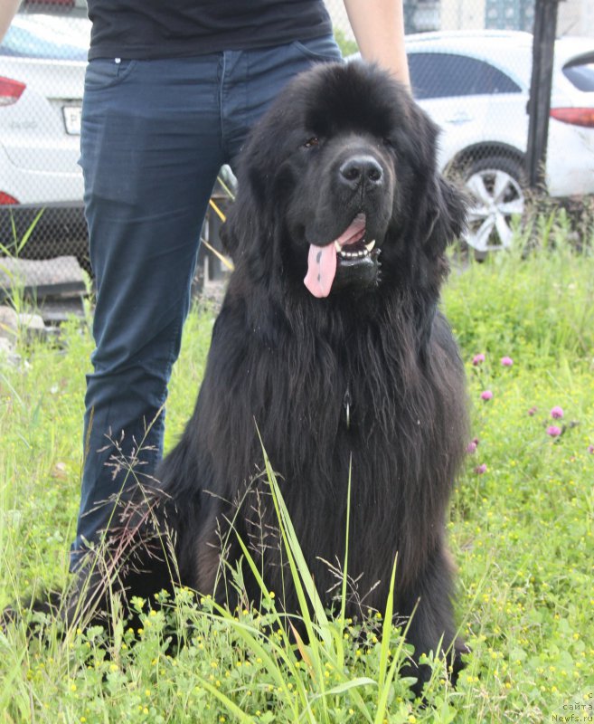 Фотография № 158189