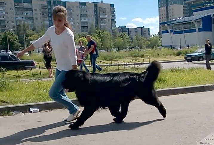 Фотография № 158192