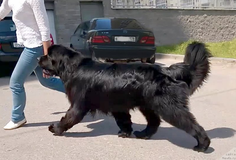 Фотография № 158193