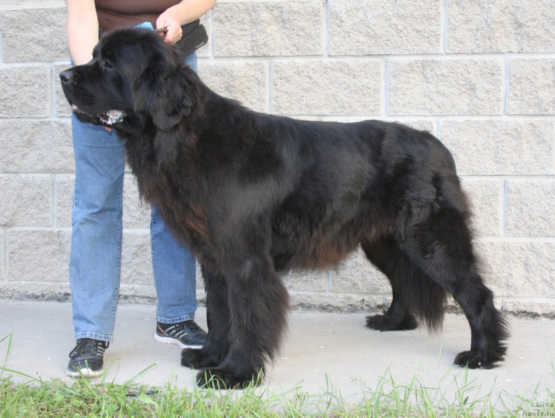 Фотография № 158198