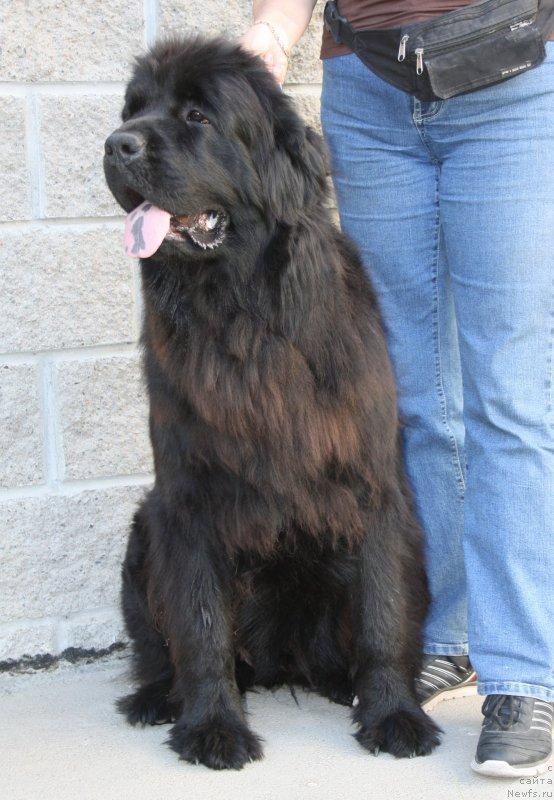 Фотография № 158201