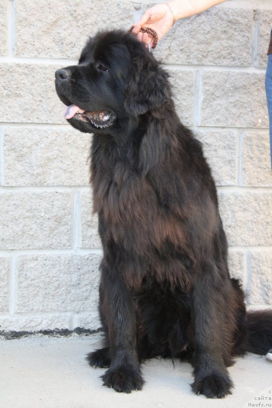 Фотография № 158203