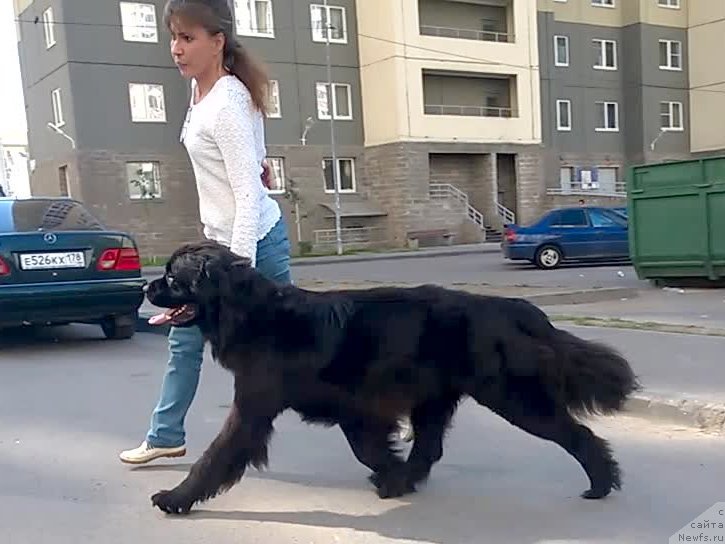 Фотография № 158206