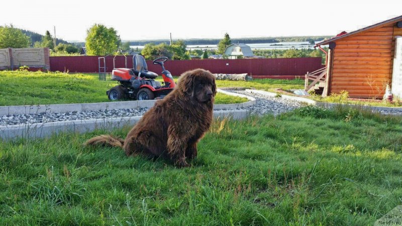 Фото: Гектор Троянский