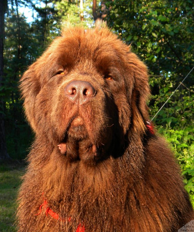 Фотография № 158223