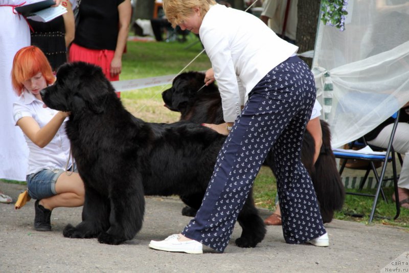 Фотография № 158230