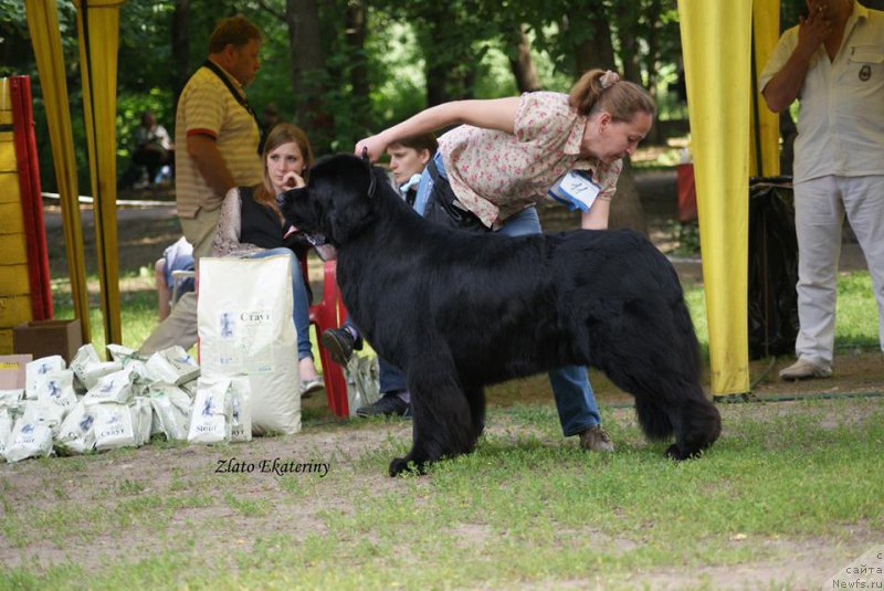 Фотография № 158236