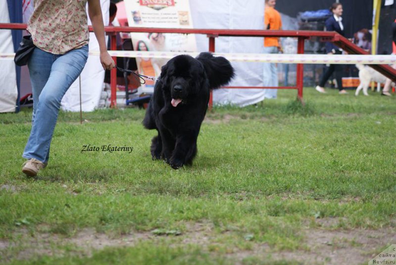 Фотография № 158240