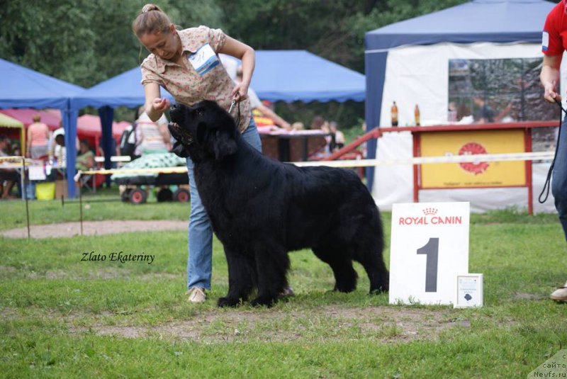 Фотография № 158241