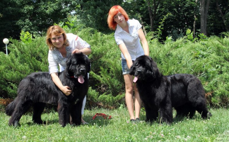 Фотография № 158242