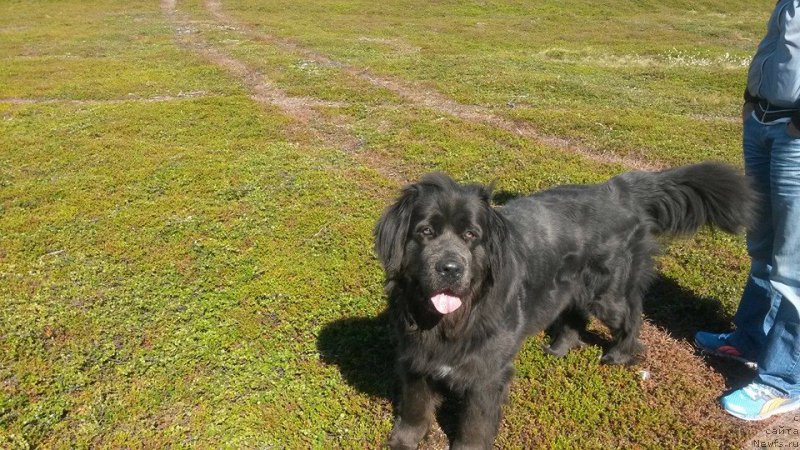 Фотография № 158249