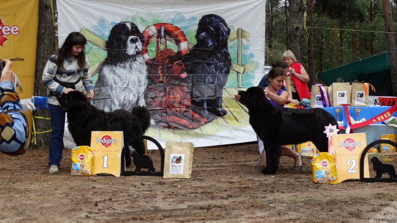 Фотография № 158275