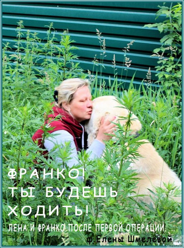 Фотография № 158307