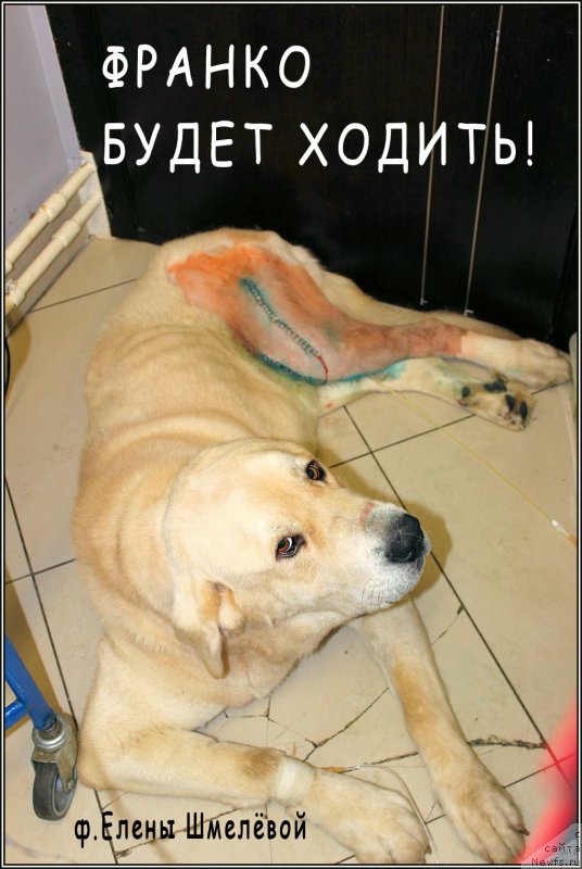 Фотография № 158309