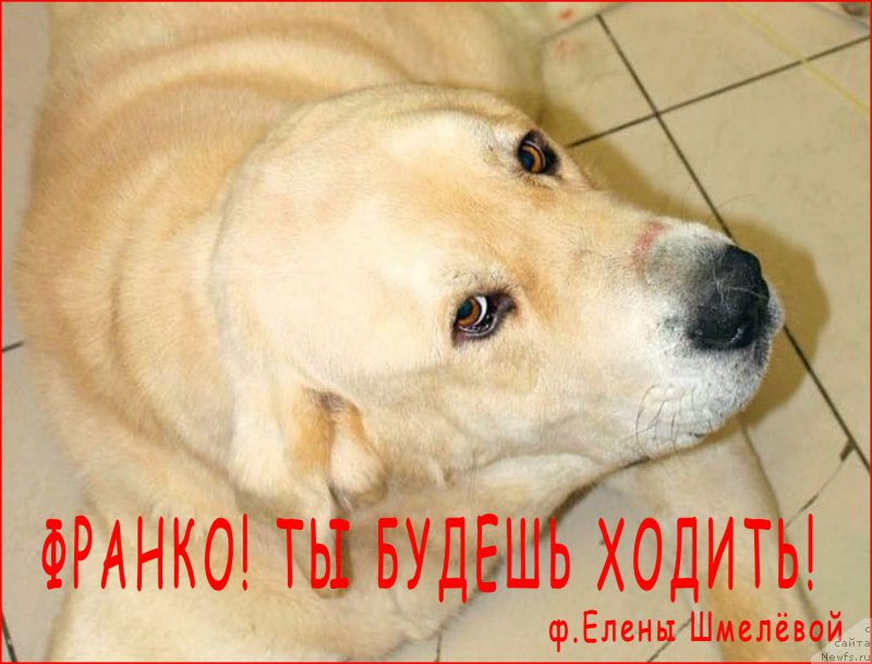 Фотография № 158313