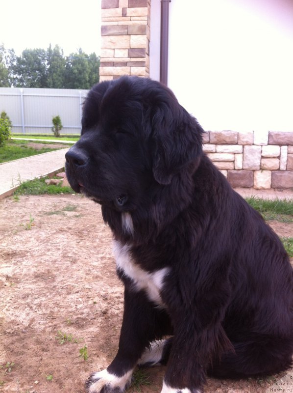 Фотография № 158315