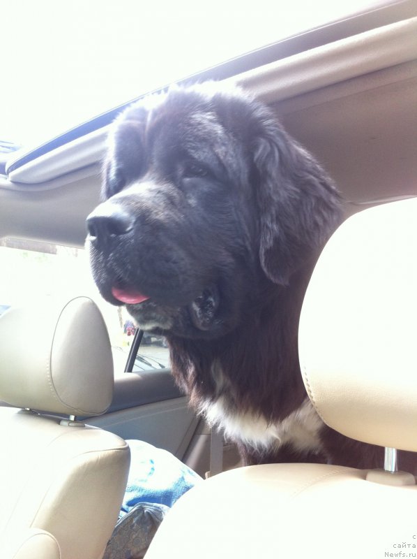 Фотография № 158316