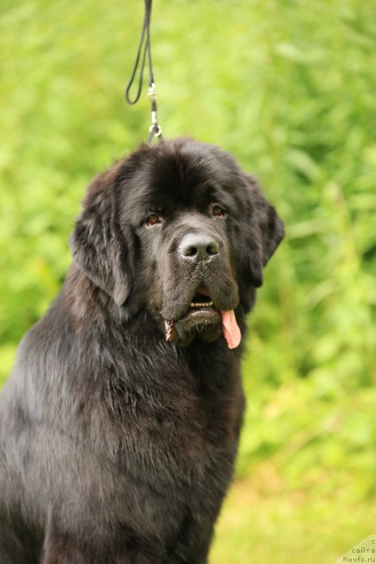 Фотография № 158327