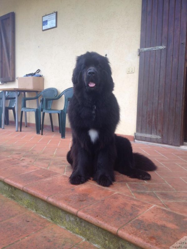 Фото: Сюзанна Герасименко