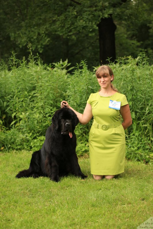 Фотография № 158332